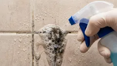 Die Fugen zwischen den Küchenfliesen sind im Handumdrehen von Schimmel befreit: Merken Sie sich die Zusammensetzung dieser einfachen Lösung